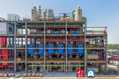 申請國家專利26項 成武縣晨暉環?？萍脊井a品總量占國內的70