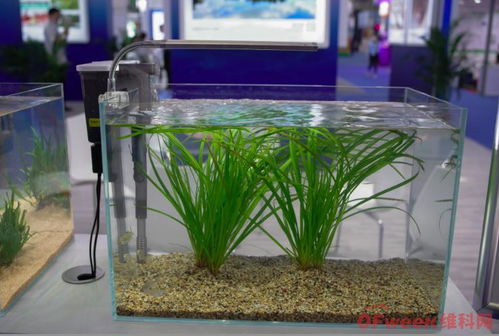 來高交會,見證環保科技新力量