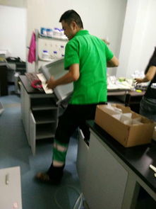 什么能除甲醛 武漢高效的花與葉環(huán)保專業(yè)室內(nèi)治理哪里有