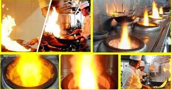 英美環(huán)?？萍兼谟托履茉锤采w需求廣泛